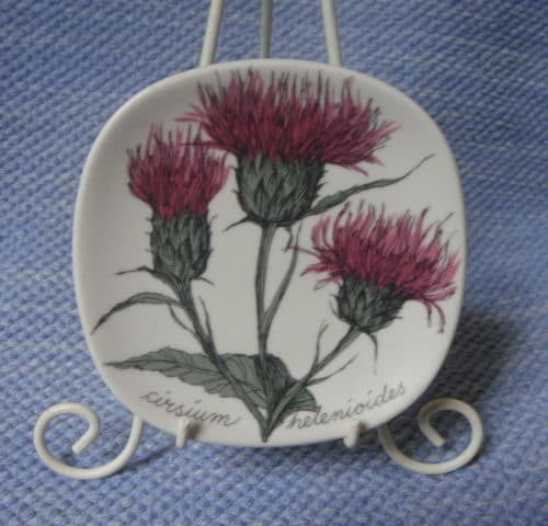 Huopaohdake, cirsium helenioides, Arabia 12 cm seinälautanen.